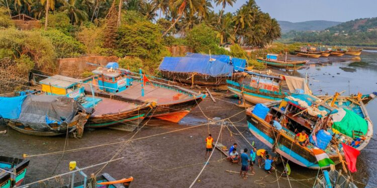 कोळी बांधवांवर मत्स्यदुष्काळाचे सावट