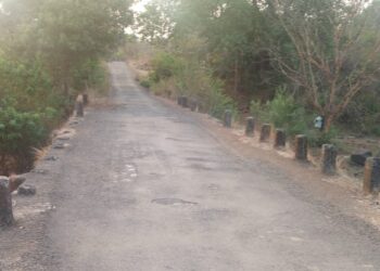 संरक्षक कठड्यांअभावी पूल धोकादायक