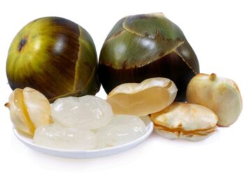 चौलच्या थंडगार ताडगोळ्यांना मागणी वाढली