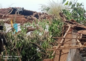 वादळग्रस्तांकडे प्रशासनाची पाठ; अद्याप पंचनामे झालेच नाहीत