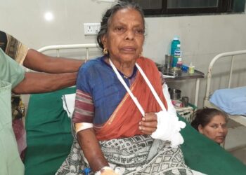 असला मुलगा, नवरा नको! आईसह पत्नी संतापली