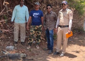 अन्न शोधता शोधता मायलेकरांनी प्राणच गमावले