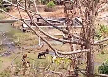 चार गावांना दूषित पाणीपुरवठा: नागरिकांचे आरोग्य धोक्यात