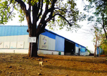 पेन प्रोजनच्या दुर्गंधीमुळे स्थानिक आक्रमक