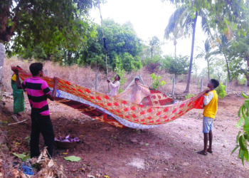 रानमेव्यासाठी जीवघेणी धडपड