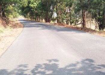 तळा-रोहा रस्त्याचे काम सुरू