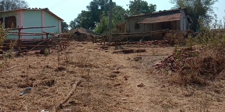 कौलोशी ग्रामस्थ रस्त्याच्या प्रतीक्षेत; प्रशासनाचे दुर्लक्ष