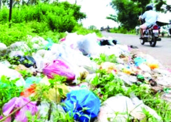 श्रीवर्धनमध्ये प्लास्टिकबंदीचे तीनतेरा