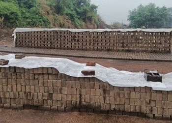 अवकाळीने वीटभट्टी व्यवसाय उद्धवस्थ