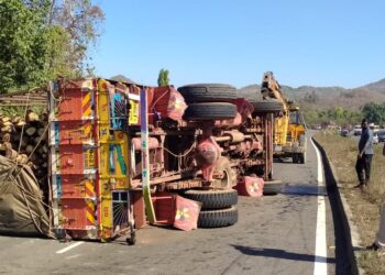 लाकडाने भरलेल्या ट्रकला अपघात