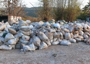 म्हसळा येथे सागरी वन्यजीवाचा अवैध साठा जप्त