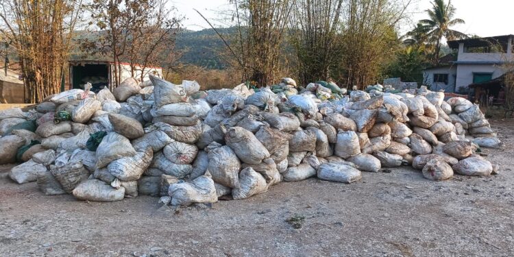 म्हसळा येथे सागरी वन्यजीवाचा अवैध साठा जप्त