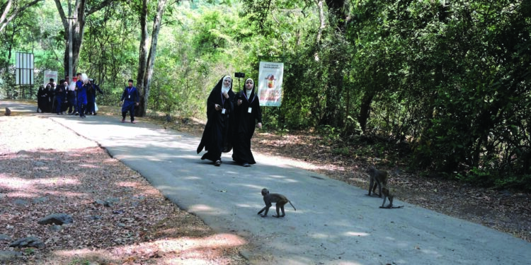 कर्नाळा अभयारण्यात माकडांची दहशद
