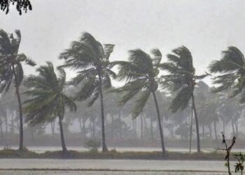 मेघगर्जनेसह पावसाचा इशारा; अवकाळी पावसाचे संकट कायम