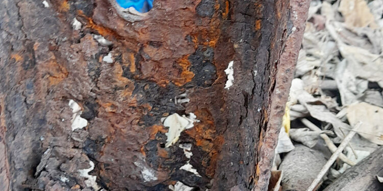 विद्युत खांब बदलण्याची मागणी