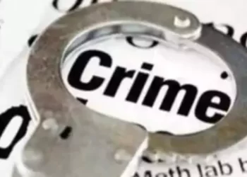 मोबाईल चोरास अटक