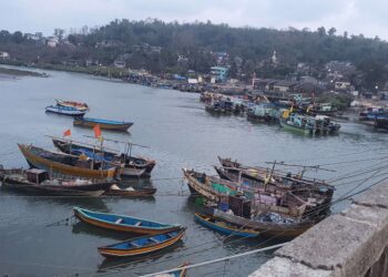 खाडीपट्यात मासळीचा दुष्काळ