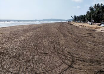 किनार्‍यावरील स्वच्छतेसाठी स्वयंचलित यंत्र ठरतेय वरदान