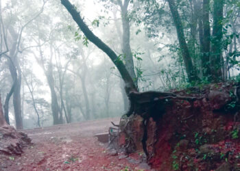 मान्सून पूर्व कामांना मुहुर्त केव्हा