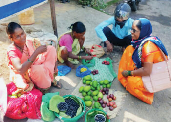 आरोग्यवर्धक रानमेव्याची लयलूट