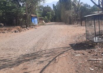 सगुणाबागेकडे जाणारा रस्ता खड्डेमय