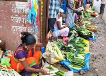 गावरान भाज्यांना स्थानिक बाजारात मागणी