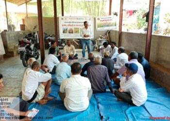 महाडमध्ये उगवण क्षमता कार्यक्रम