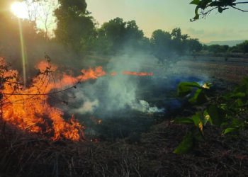 बळीराजाला आस काळ्या मातीची…