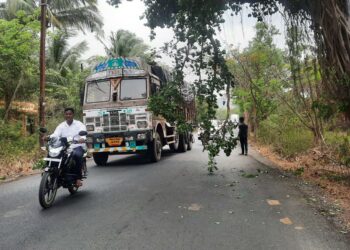 झाडाची फांदी वाहतुकीस अडथळा