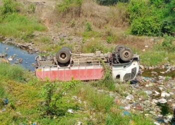 ट्रक पुलावरुन कोसळला; चालक जखमी