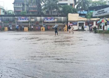 अलिबाग तालुक्याला पावसाचा फटका