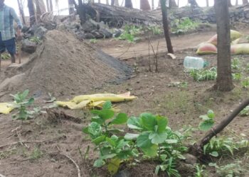 आवास समुद्रकिनारी अनाधिकृत बांधकाम