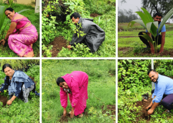 आक्षी परिसरात वृक्षारोपण