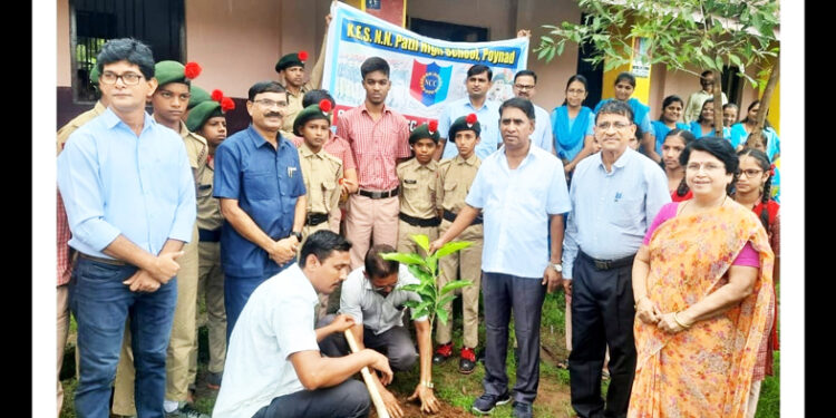 कोएसो हायस्कूल पोयनाड येथे वृक्षारोपण
