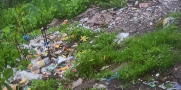 कचऱ्यामुळे नागरिकांचे आरोग्य धोक्यात