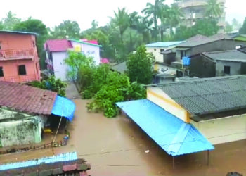 चिरनेर गावात हाहाकार