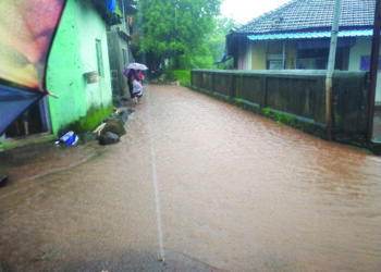 घोणसे घाटात दरड कोसळली