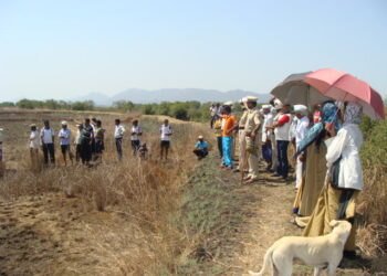 ढिम्म प्रशासन, दुष्काळ कसा जाहीर करणार?