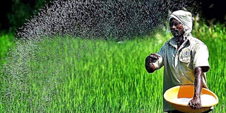 कोलाड परिसरात खतांचा तुटवडा; शेतकर्‍यांची वणवण