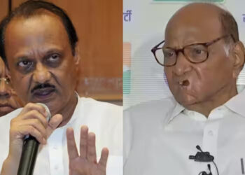 तुम्ही आमचे विठ्ठल.. पण आता निवृत्त व्हा!