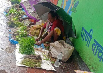 जंगलतोडीमुळे रानभाज्या होताहेत दुर्मिळ