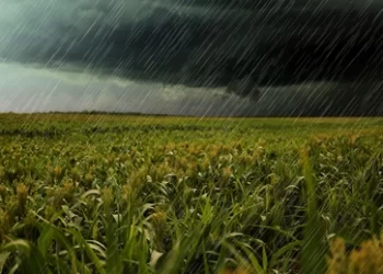 अस्मानी संकटाने बळीराजाचा जीव गुदमरला