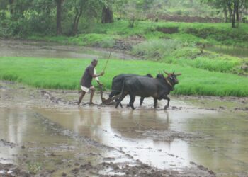शेतीच्या कामासाठी बळीराजा सज्ज