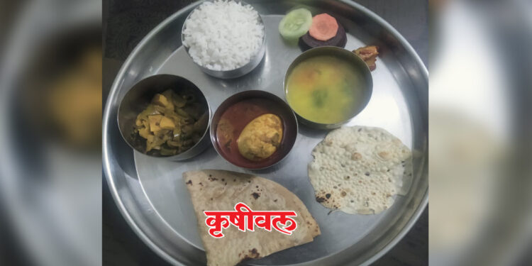 कृषीवल इम्पॅक्ट: वसतीगृहातील मुलींच्या ताटात परिपूर्ण जेवण