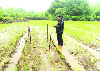 किडींवर क्रॉप-सॅप ॲपद्वारे वॉच