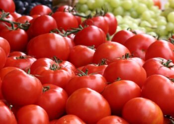 टोमॅटोला आला पेट्रोलचा दर..