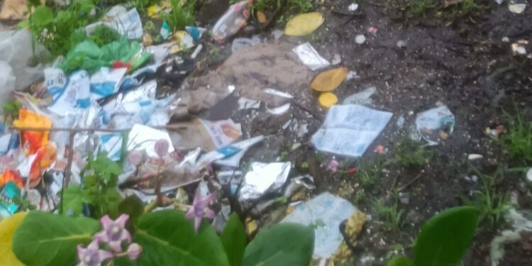 कचऱ्यामुळे नागरिकांचे आरोग्य धोक्यात