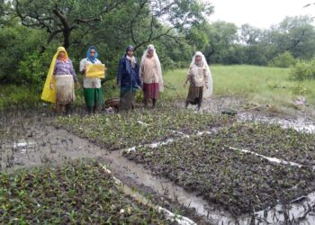 जेएसडब्ल्यू कंपनीची सामाजिक बांधिलकी