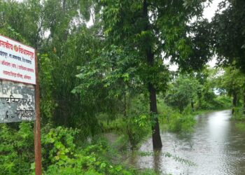 आरोग्य केंद्राचा रस्ता बिकट; नागरिकांची गैरसोय