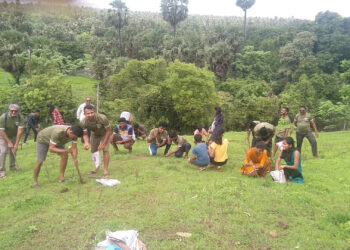 बीज वृक्षारोपणास युवावर्गाचा प्रतिसाद